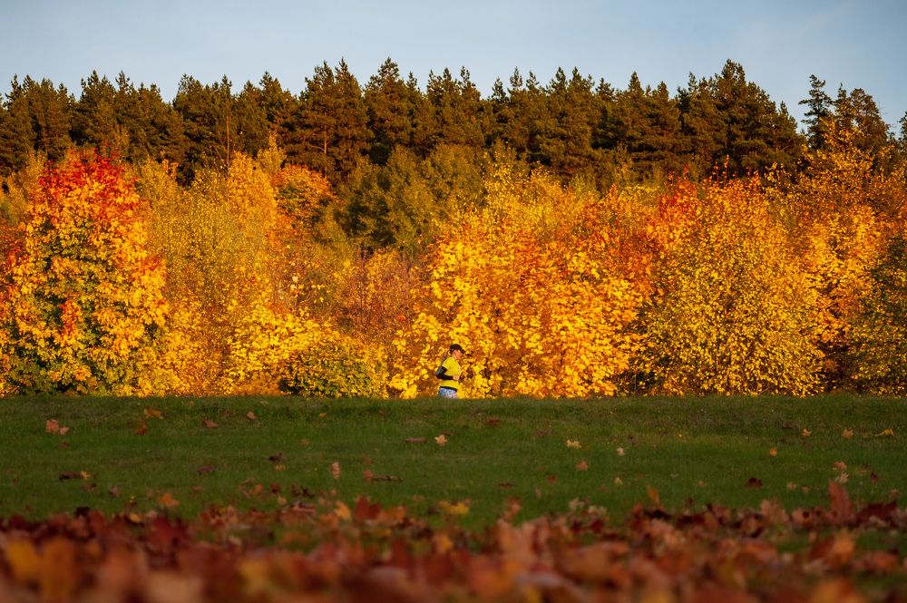 Photograph by Максим Селиванов