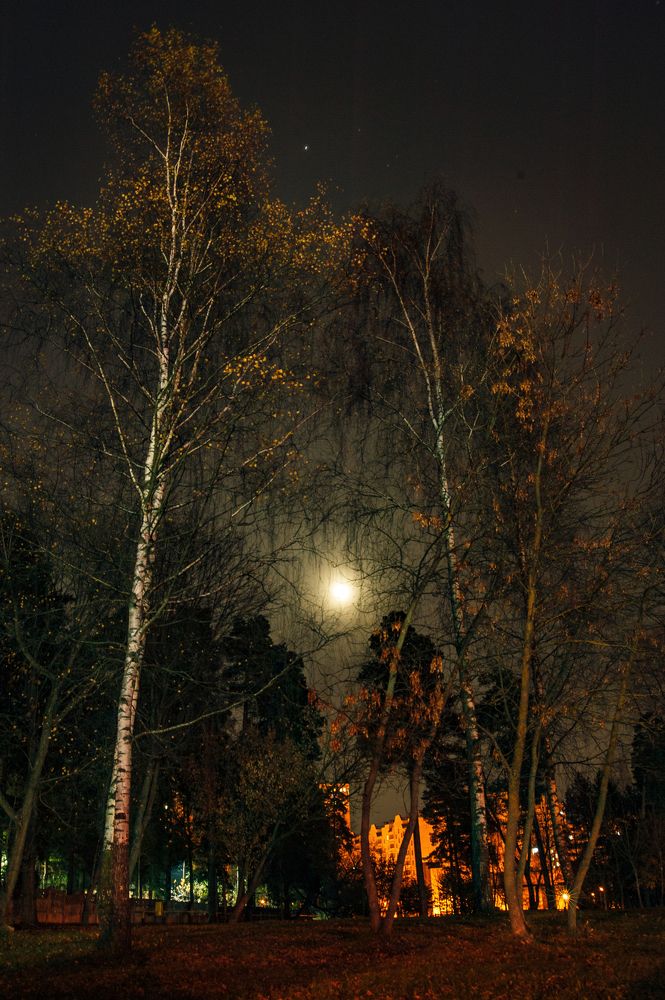 Photograph by Максим Селиванов