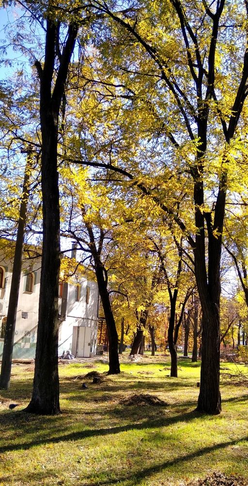 Photograph by Людмила Ермоленко