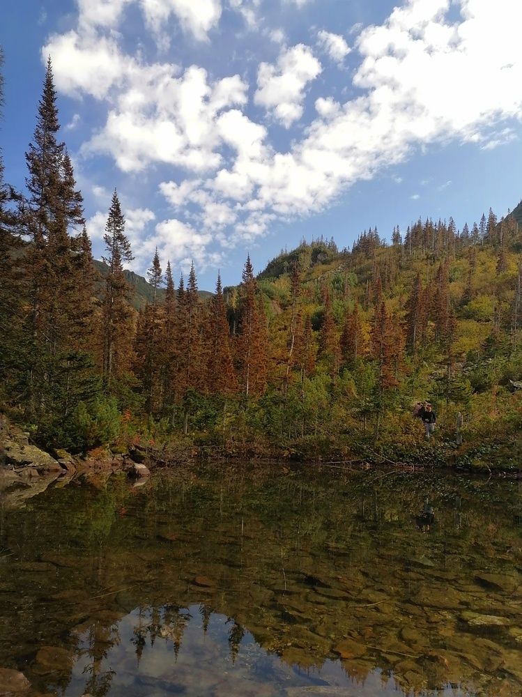 Photograph by Светлана