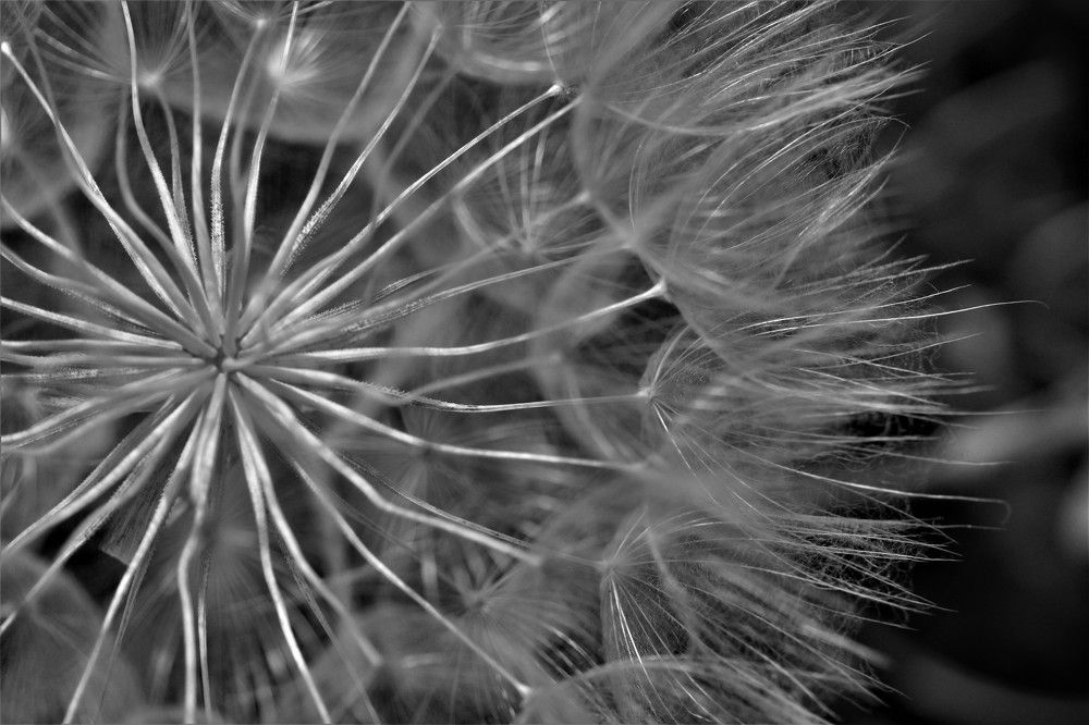 Photograph by Daniel Sharir