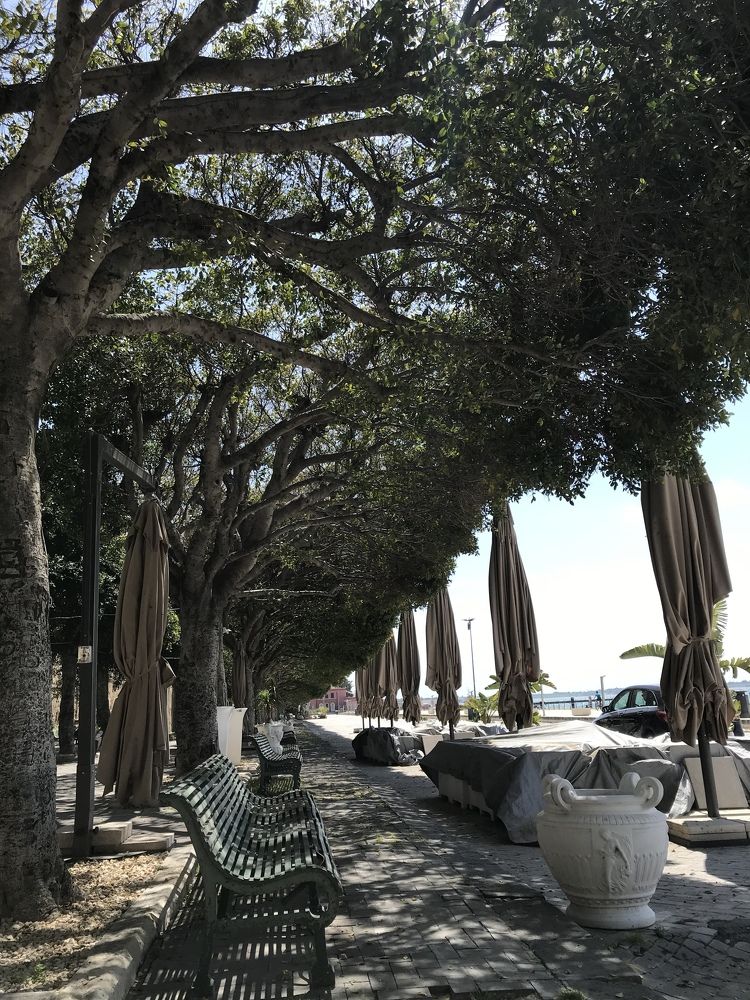 Photograph by TATIANA BOHDANOVA