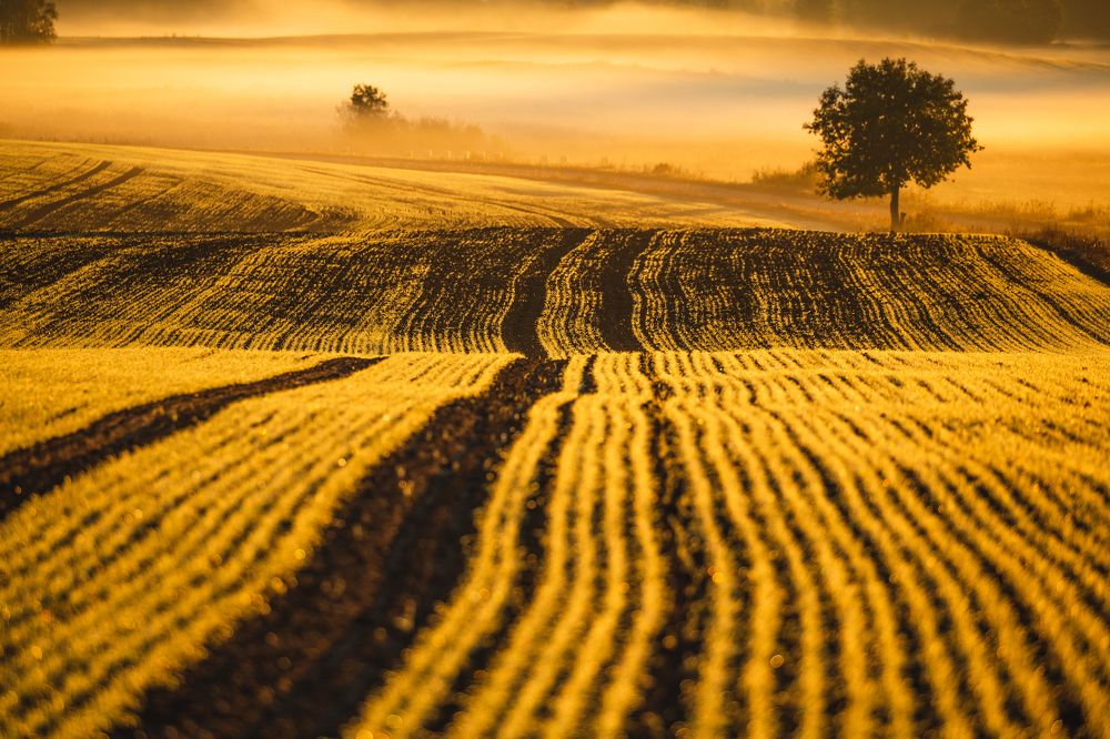 Photograph by Dzintra Zvagina