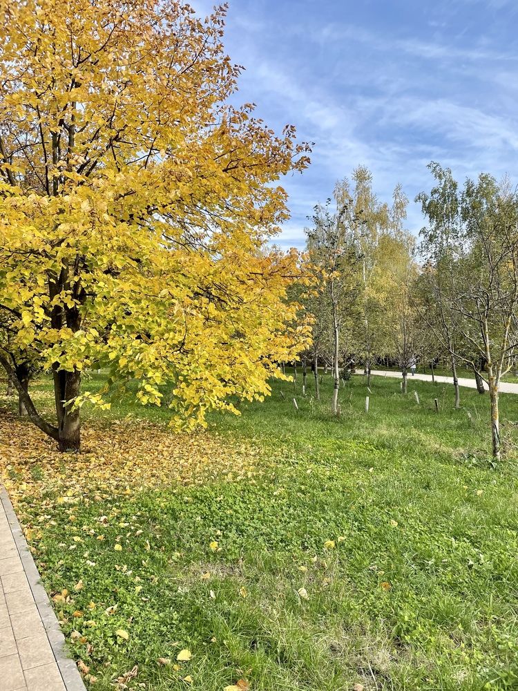 Photograph by Лариса Делия