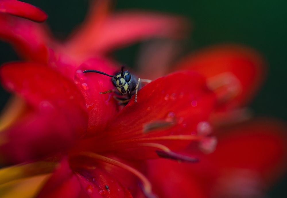 Photograph by Даркина Дарья