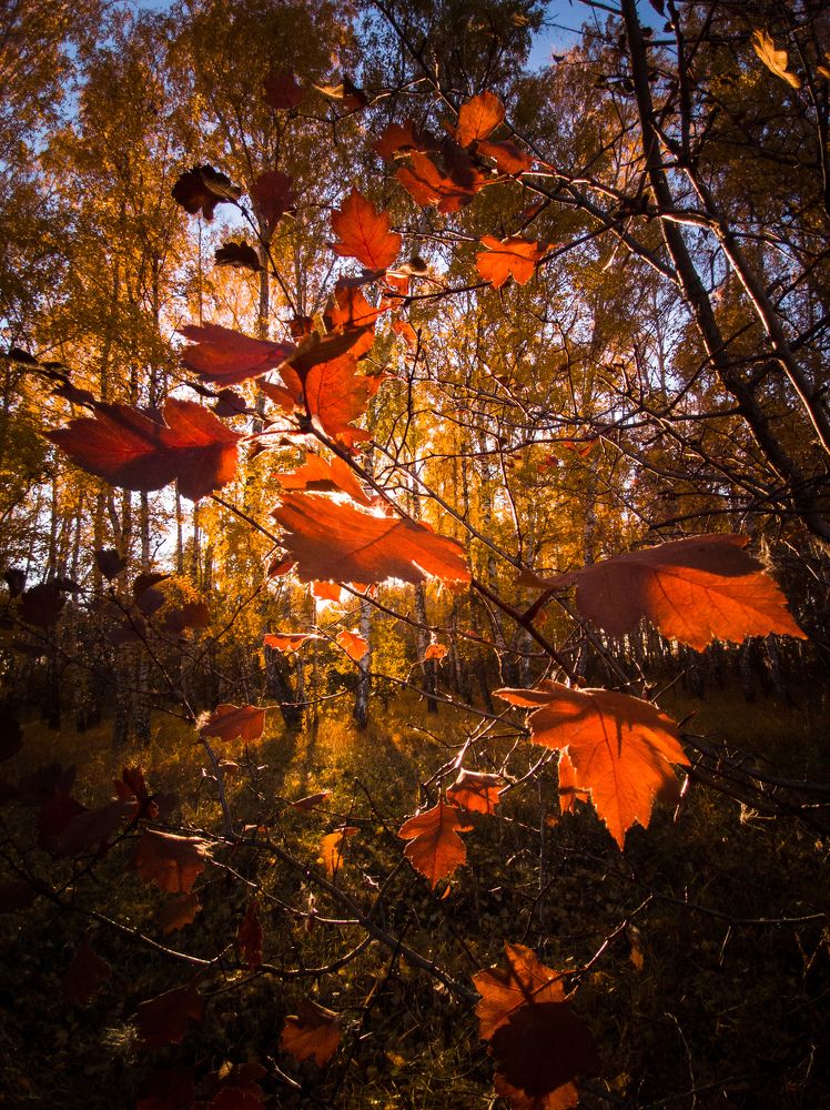 Photograph by Матвей Краузе