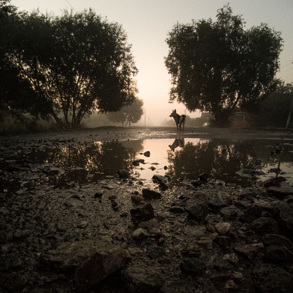 Photograph by Матвей Краузе