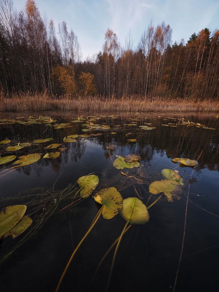 Photograph by Екатерина