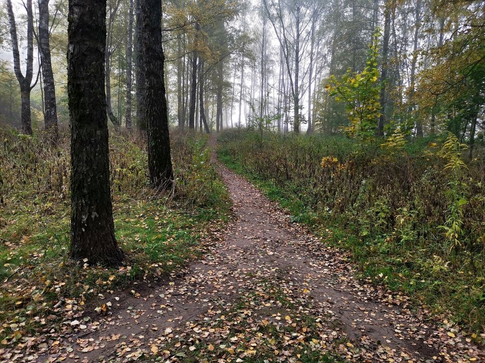 Photograph by Борис Баринов