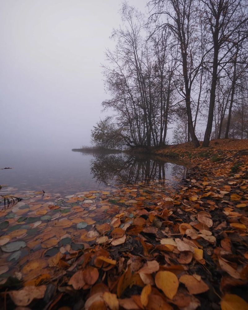 Photograph by Екатерина