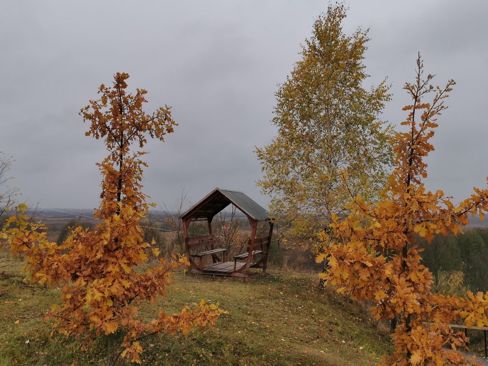 Photograph by Елена Миронова