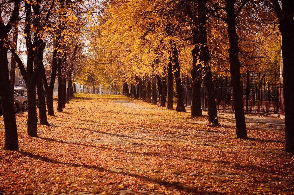 Photograph by Татьяна Зубехина