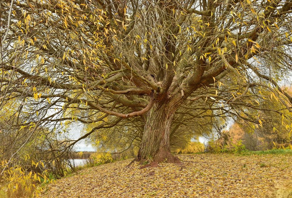На пьедестале - октябрь.
