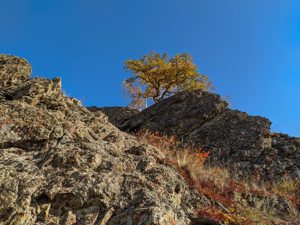 Photograph by Зульфия Курманова