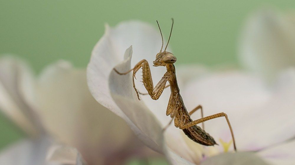 Photograph by Людмила Железнова