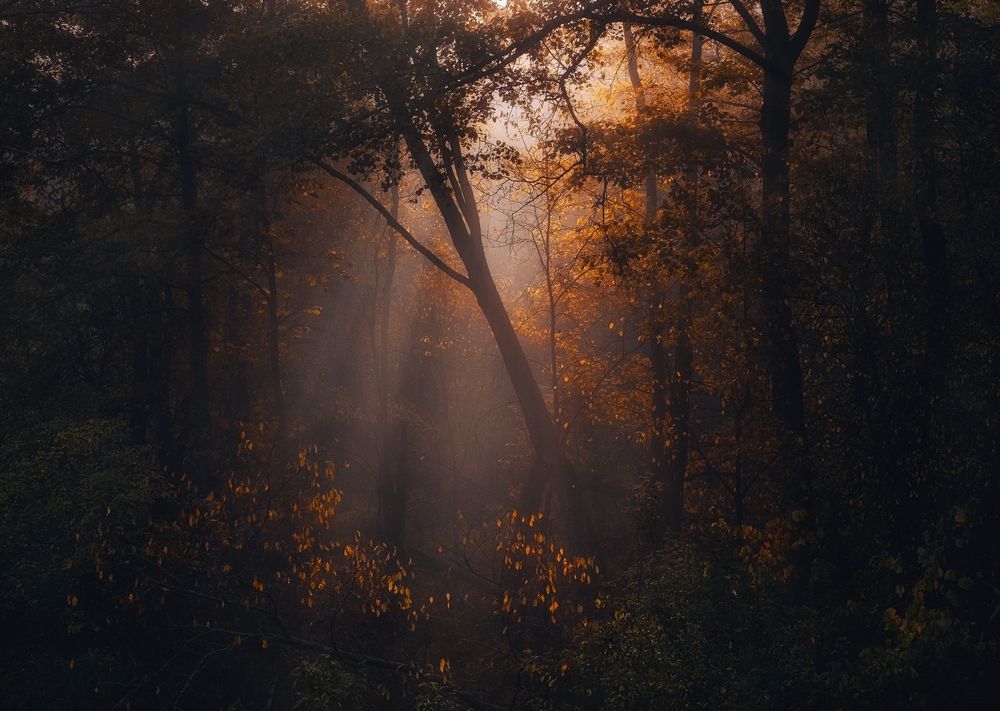 Photograph by Баранов Олег