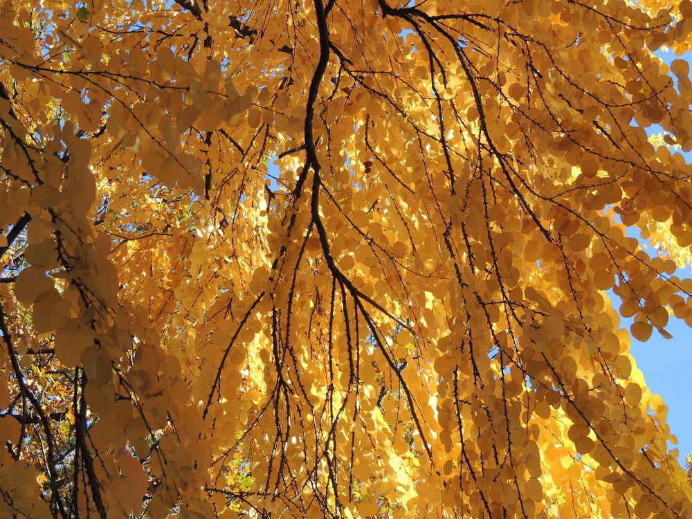 Photograph by Viktor Makarov