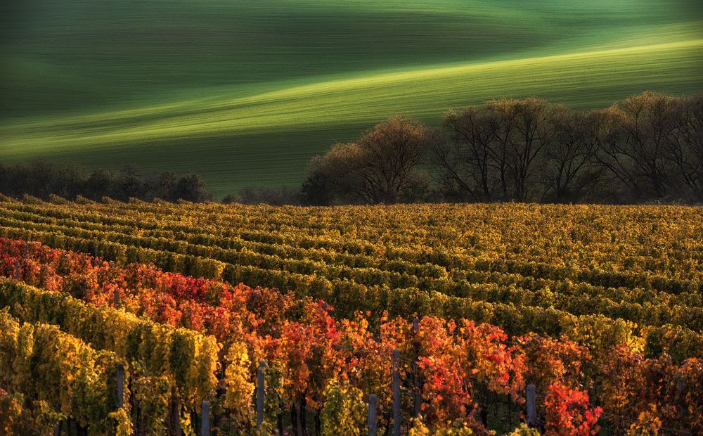 Photograph by Евгений Антонов