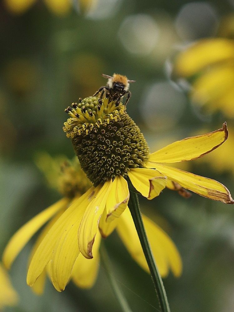 Photograph by Светлана Богомолова