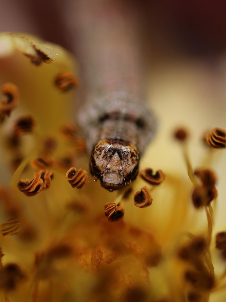 Photograph by Светлана Богомолова