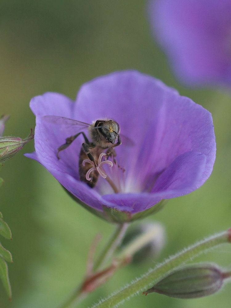 Photograph by Светлана Богомолова