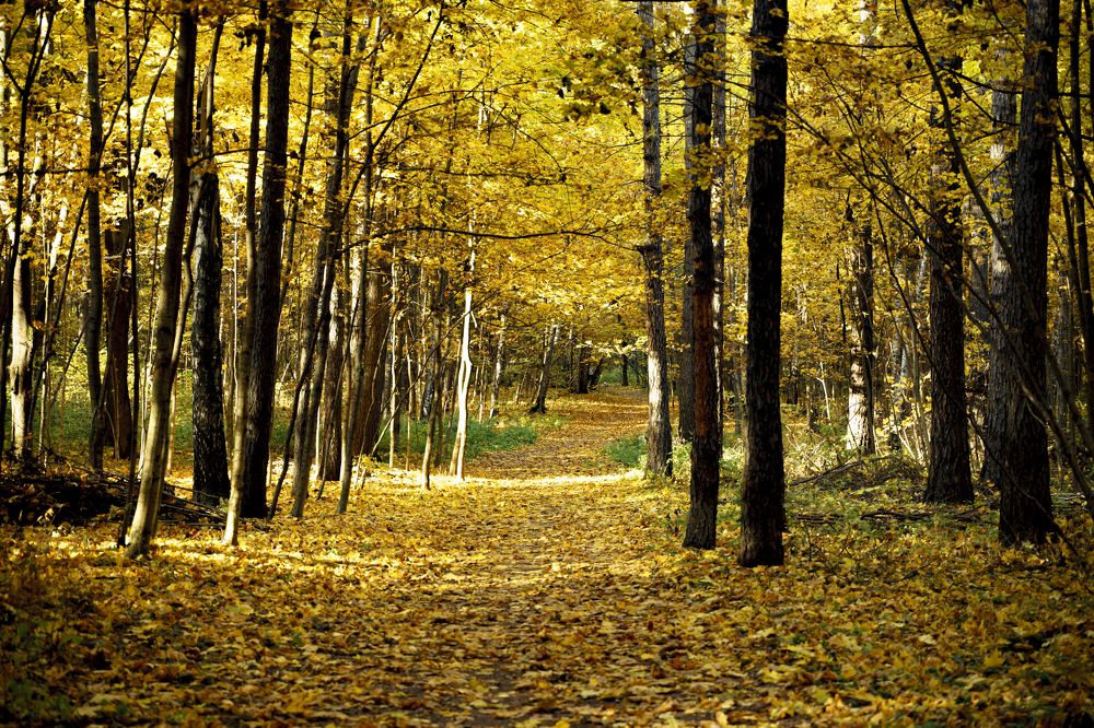 Photograph by Тимофей Белокопытов