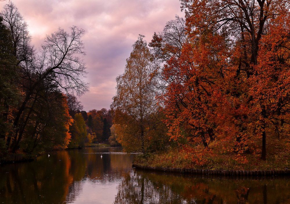 Photograph by Ирина Столбовая
