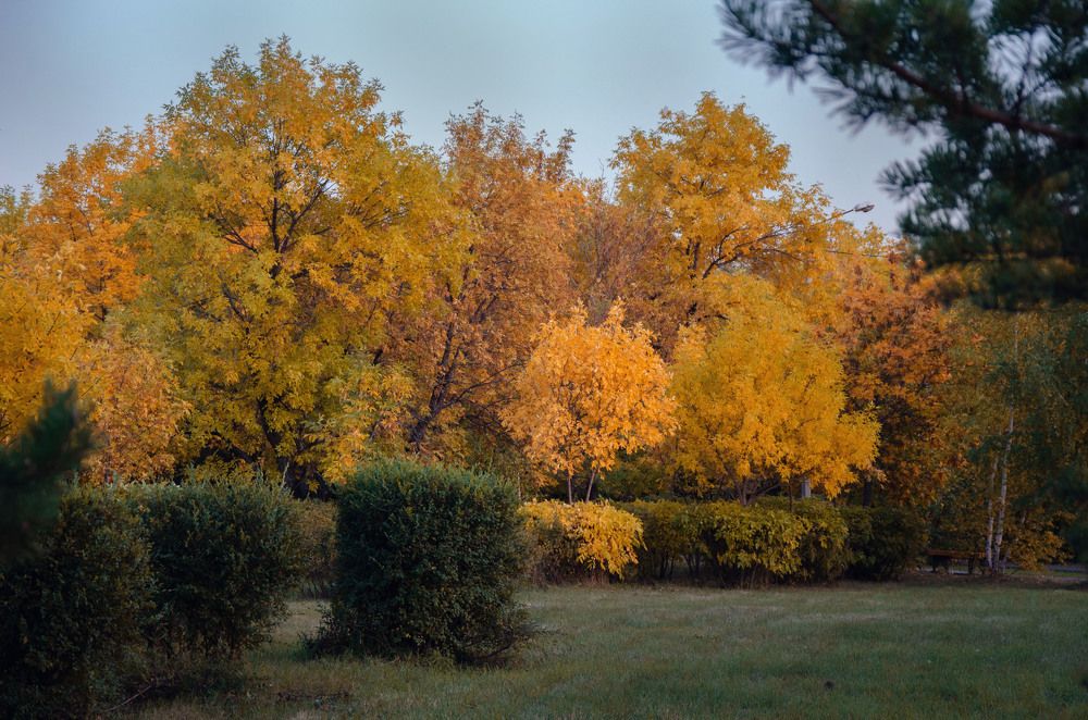 Красочная осень!