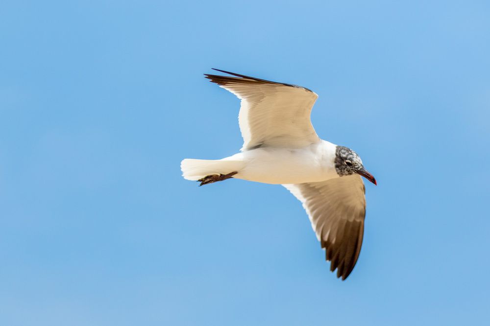 Photograph by Emmanuel Rozz