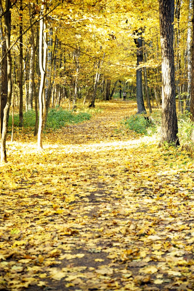 Photograph by Тимофей Белокопытов