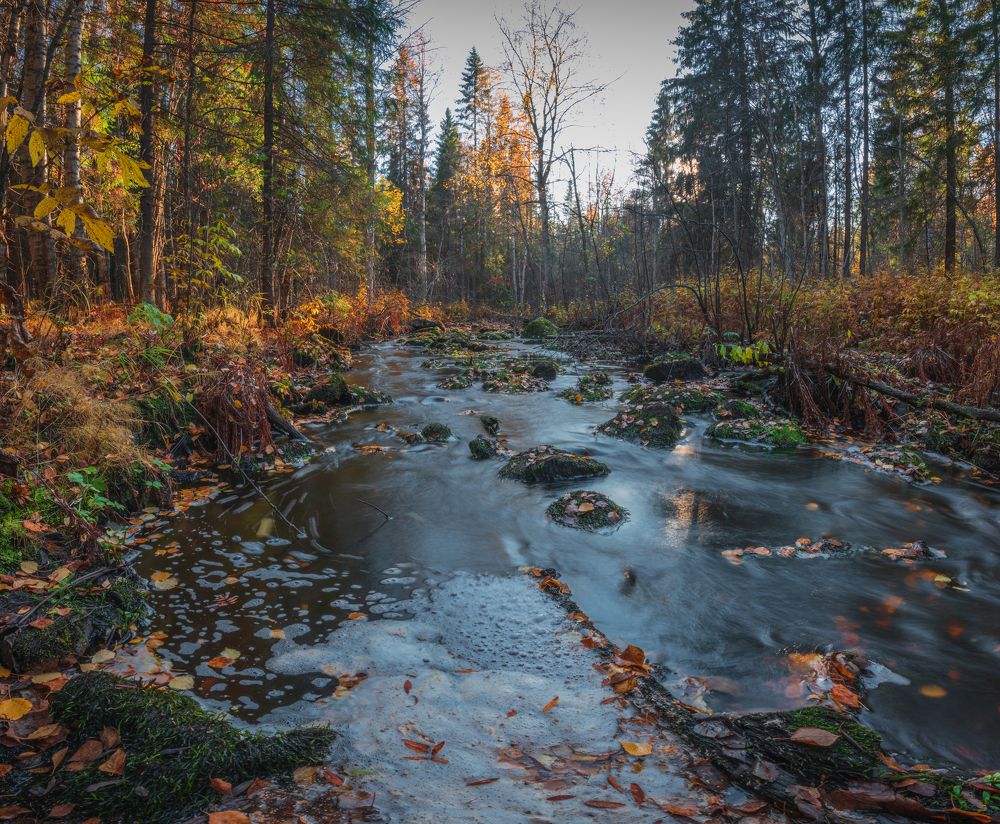 Photograph by Денис Кошкин