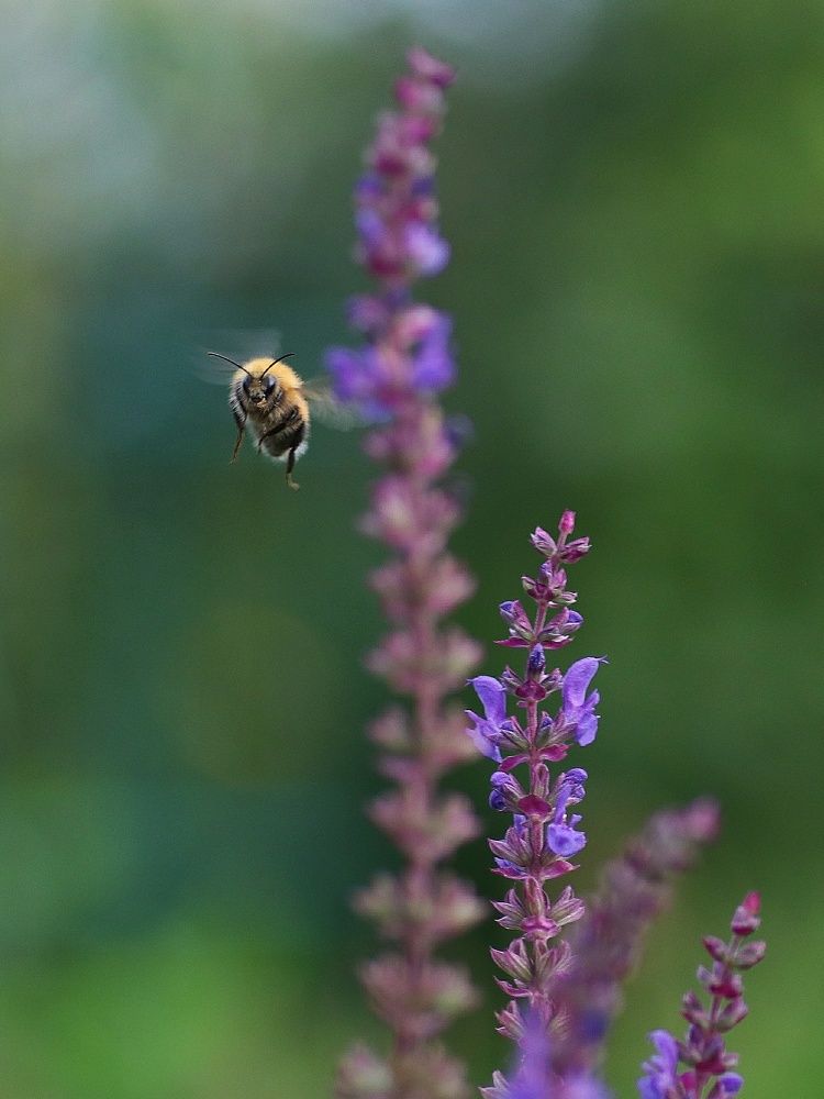 Photograph by Светлана Богомолова