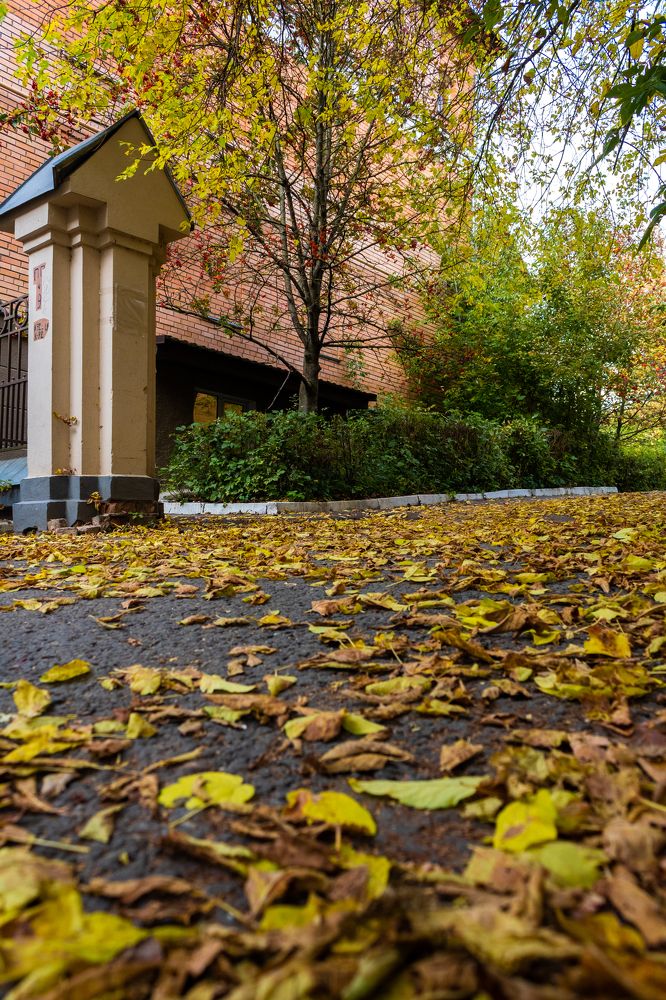 Photograph by Ольга Абрамова