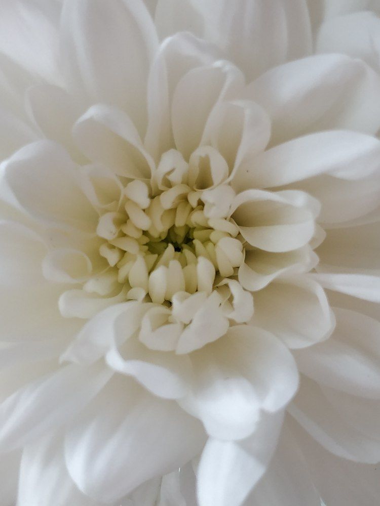 Photograph by Татьяна