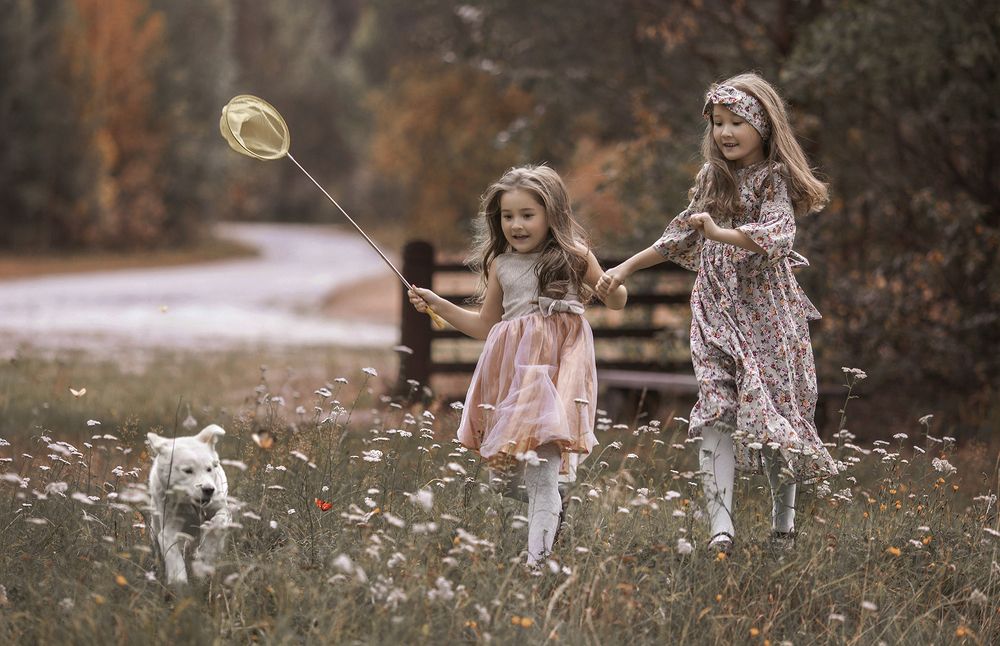 По следам бабочки