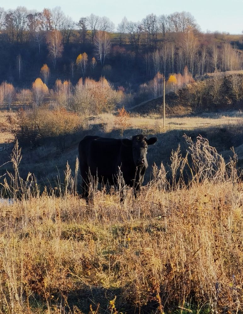 Photograph by Николай Филоненко