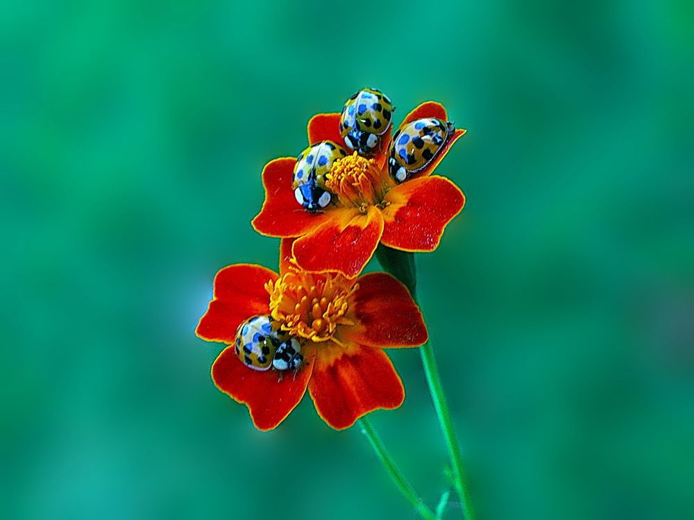 Photograph by 