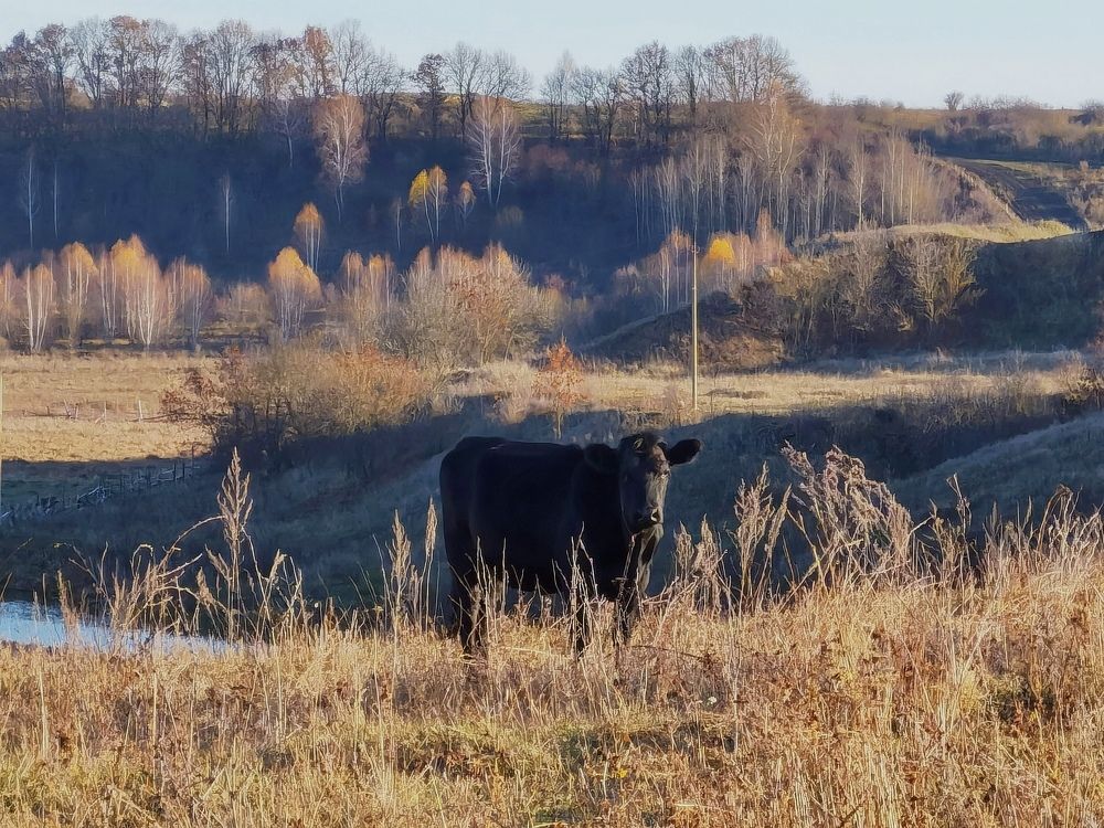 Photograph by Николай Филоненко
