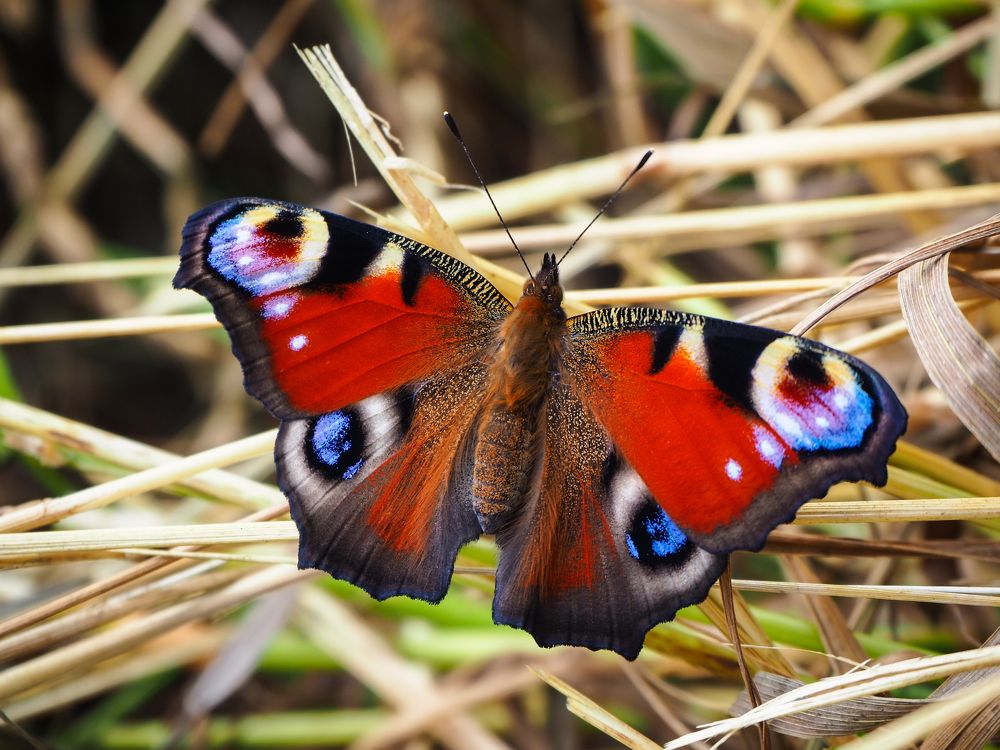 Photograph by Павел Бутко