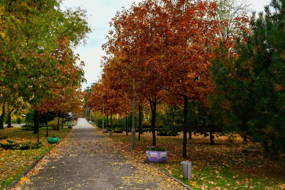 Photograph by Наталья Семенова