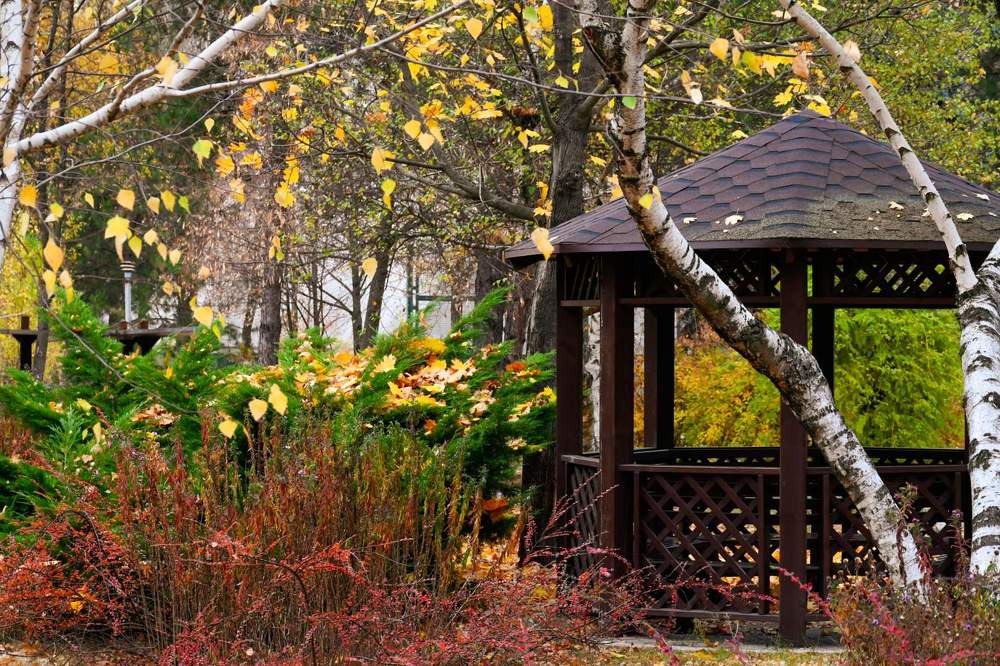 Photograph by Наталья Семенова