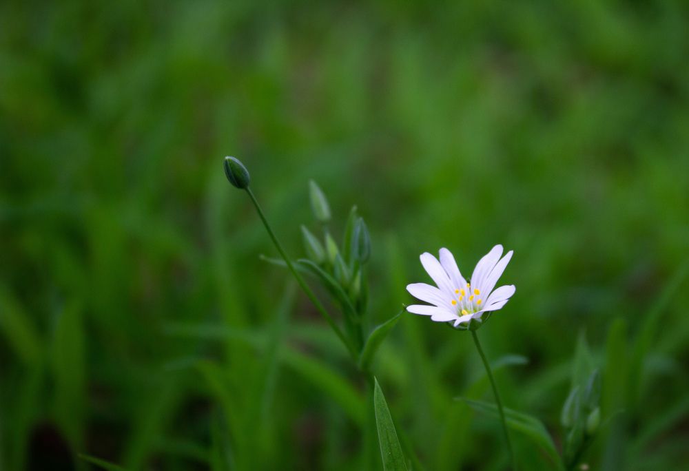 Photograph by Татьяна Конаева