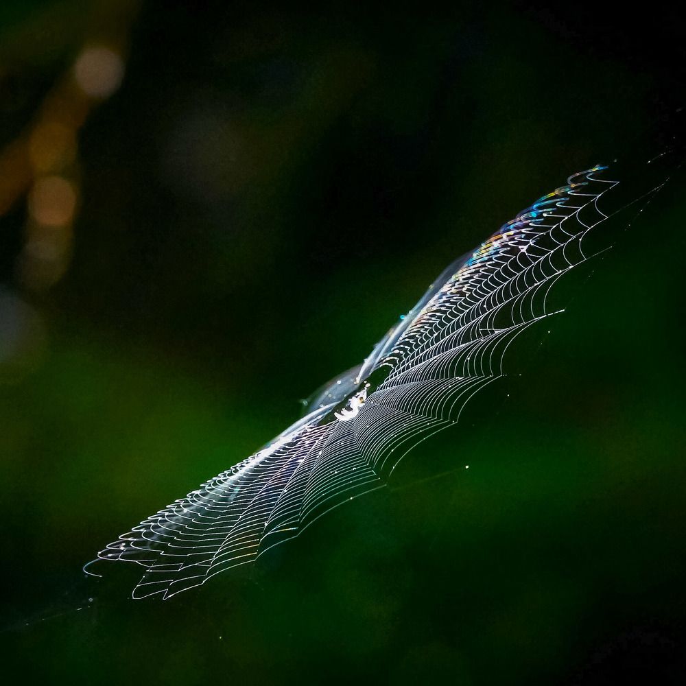 Photograph by Татьяна Шандромайло