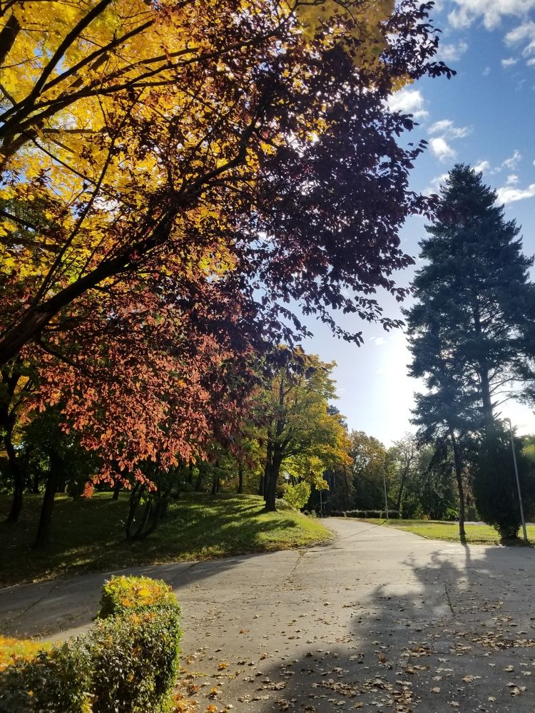 Photograph by Ania Huzii