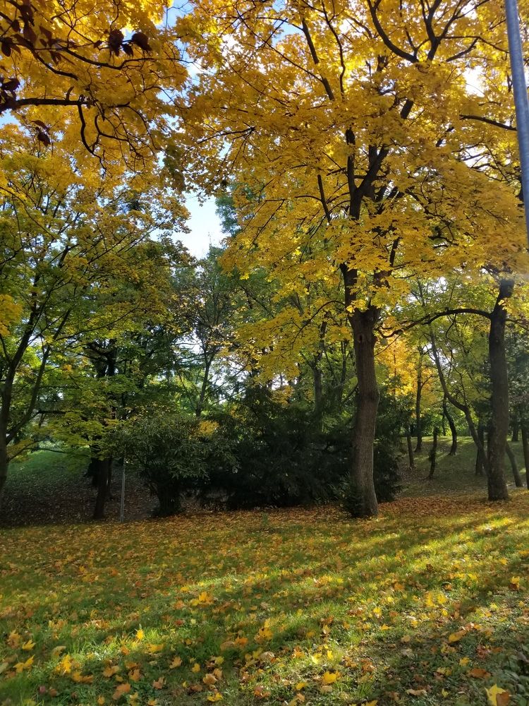 Photograph by Ania Huzii