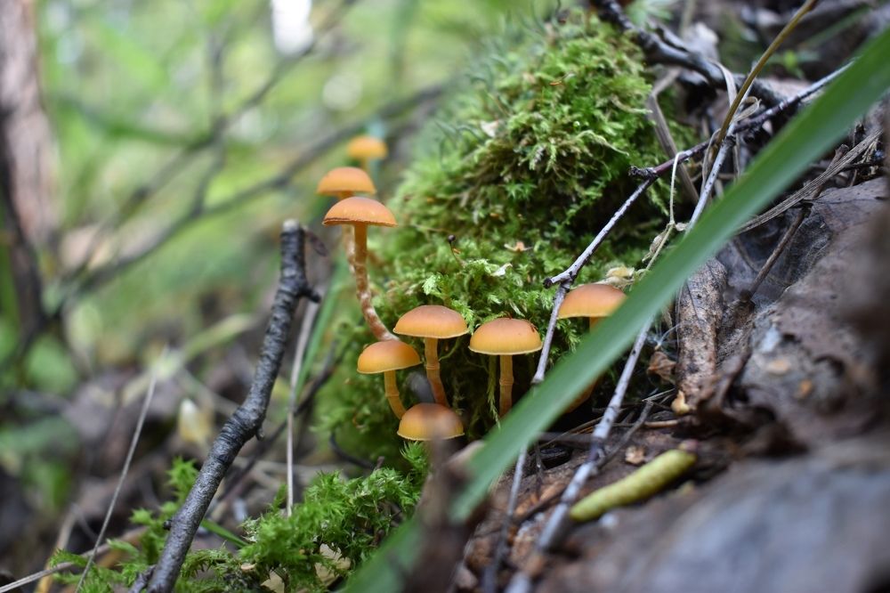 Photograph by Валерия