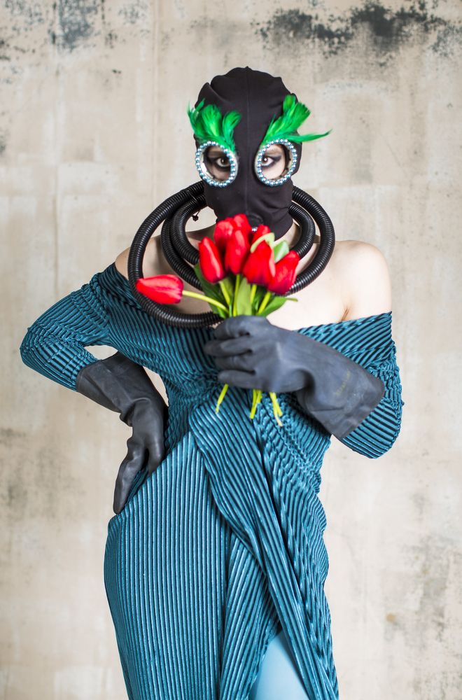 Фотография автора Василиса Новикова