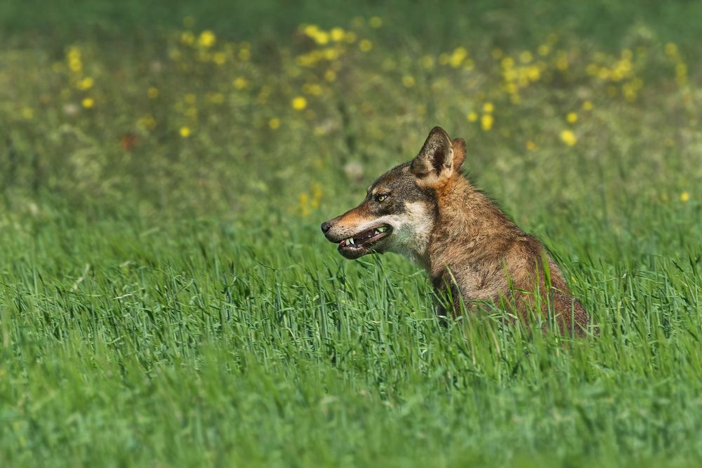 Photograph by Vassilis Theodoridis