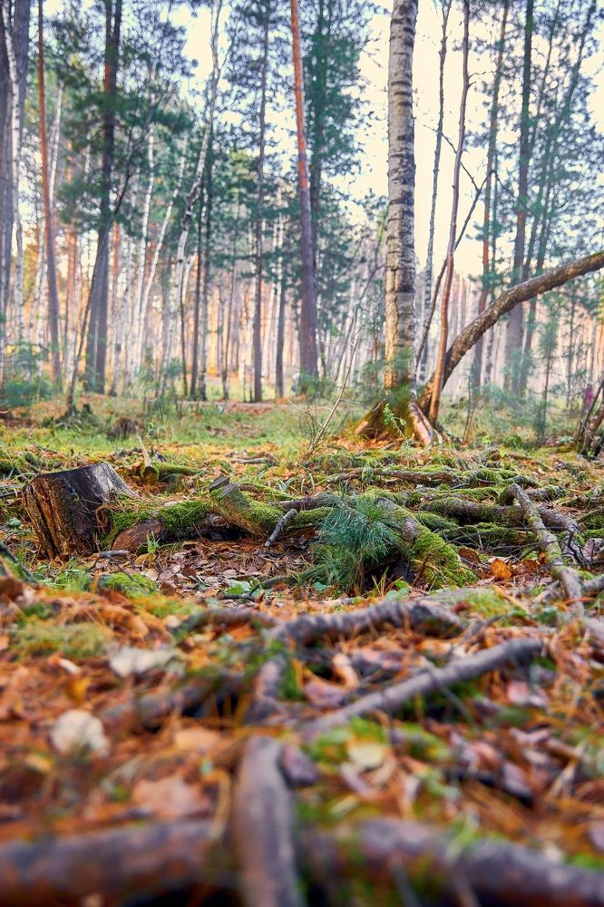 Photograph by Андрей Медведев