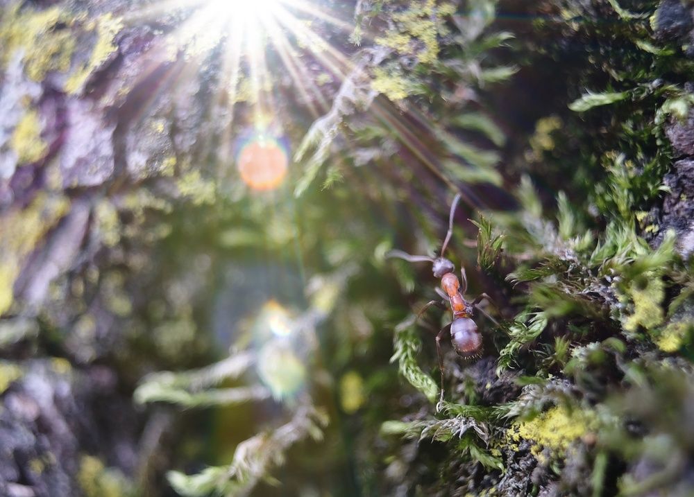 Фотография автора Albina Vaniyants